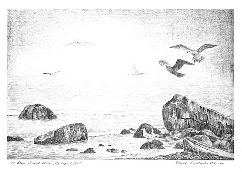 page 01 thumbnail