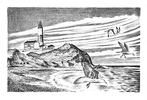 page 27 thumbnail